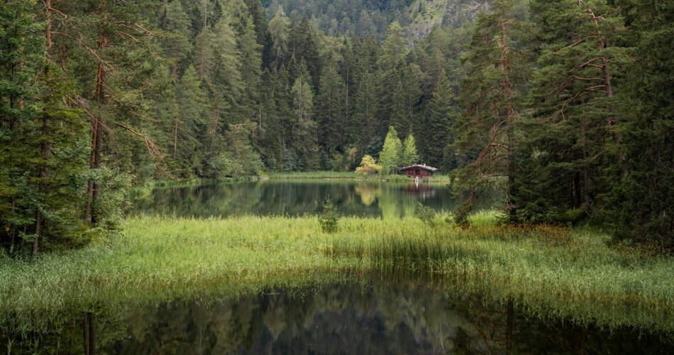 Ein kleiner, völlig umwaldeter, grün schimmernder und mit Schilfgras bewachsener See. im Hintergrund eine kleine Holzhütte.  | © TZA / Sam Oetiker